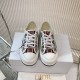 Walk n Dior Platform Sneaker