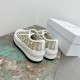 Walk n Dior Platform Sneaker