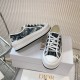 Walk n Dior Platform Sneaker