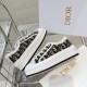 Walk n Dior Platform Sneaker