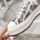 Walk n Dior Platform Sneaker