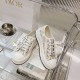 Walk n Dior Platform Sneaker