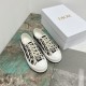 Walk n Dior Platform Sneaker