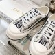 Walk n Dior Platform Sneaker