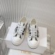 Walk n Dior Platform Sneaker