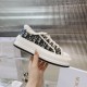 Walk n Dior Platform Sneaker