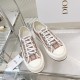 Walk n Dior Platform Sneaker