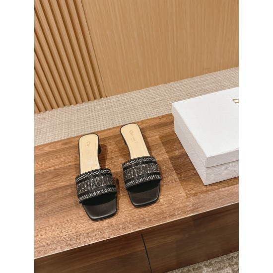 Dior Slippers