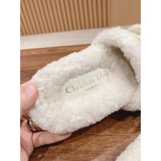 Dior Slippers