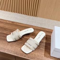 Dior Slippers