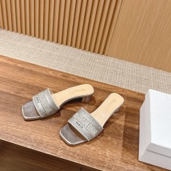 Dior Slippers