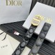 Dior Belts