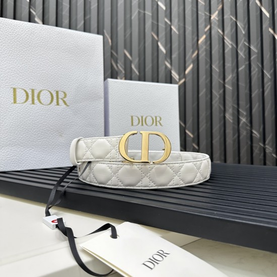 Dior Belts