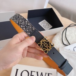 Loewe Belts