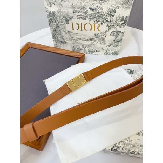 Dior Belts