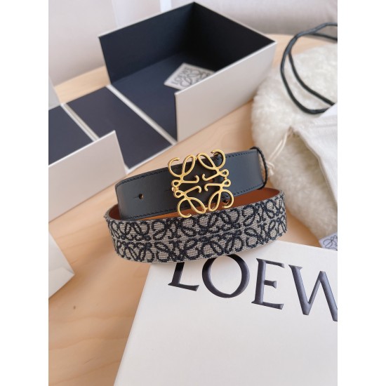 Loewe Belts