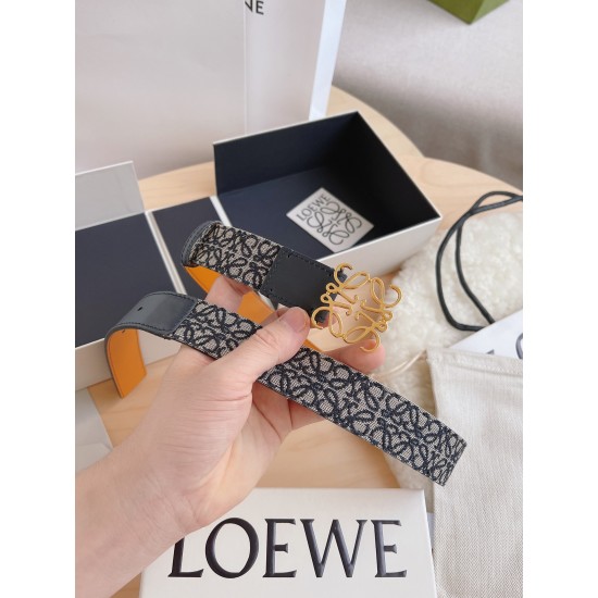 Loewe Belts