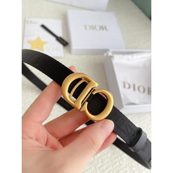 Dior Belts