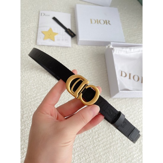 Dior Belts