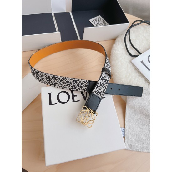 Loewe Belts