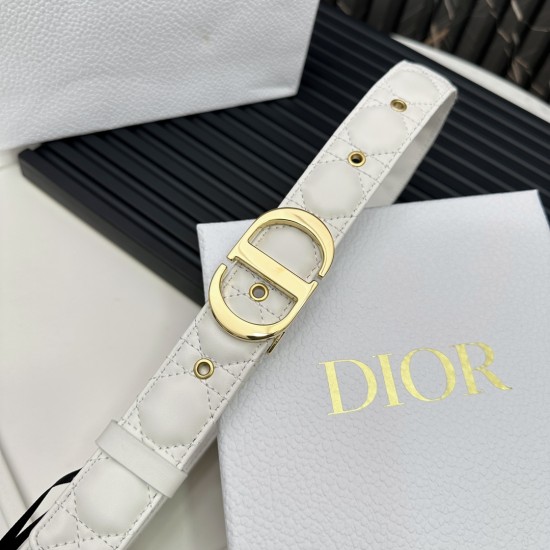 Dior Belts