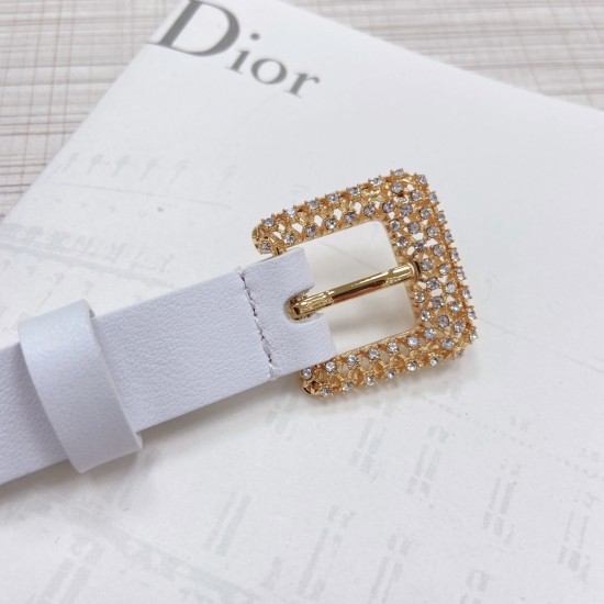 Dior Belts