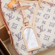 LV CarryAll PM