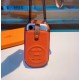 Hermes Apple Phone Case