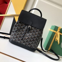 Goyard Alpin