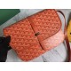 Goyard Belvdre  