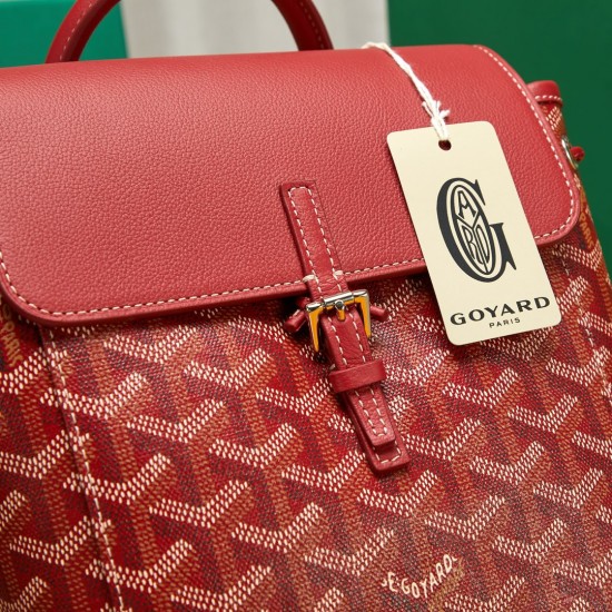 Goyard Alpin