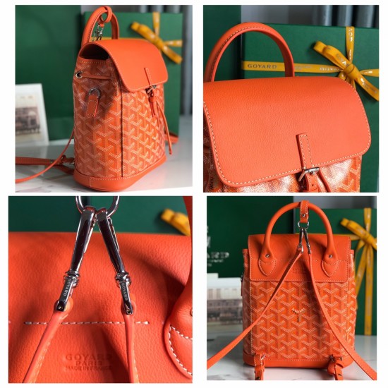 Goyard Alpin