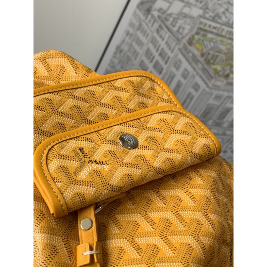 Goyard Saint Louis