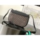 Goyard 233 bag