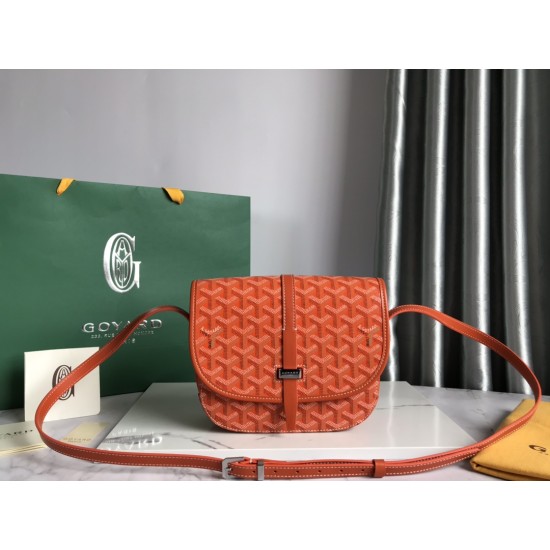 Goyard Belvdre  