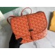 Goyard Belvdre  