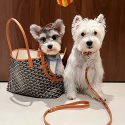 Goyard Chien Gris  