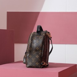 LV Palm Springs Mini