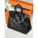 Hermès Rock Birkin 25 Volupto