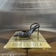 Rene caovilla Slingbacks