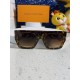 LV SUNGLASSES LV SUNGLASSES