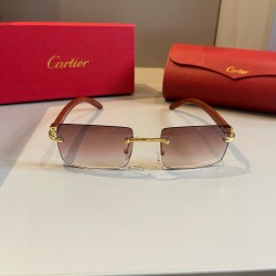 Cartier Sunglasses