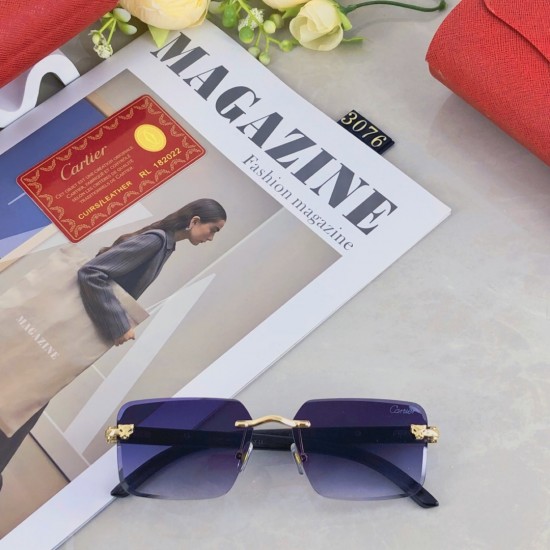 Cartier Sunglasses