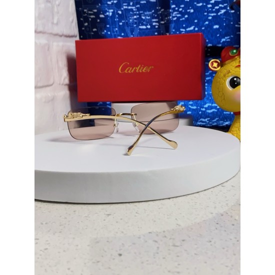 Cartier Sunglasses