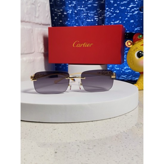 Cartier Sunglasses