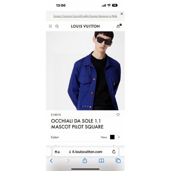 LV SUNGLASSES LV SUNGLASSES