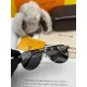 LV SUNGLASSES LV SUNGLASSES