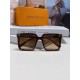 LV SUNGLASSES LV SUNGLASSES