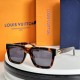 LV SUNGLASSES LV SUNGLASSES