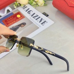 Cartier Sunglasses